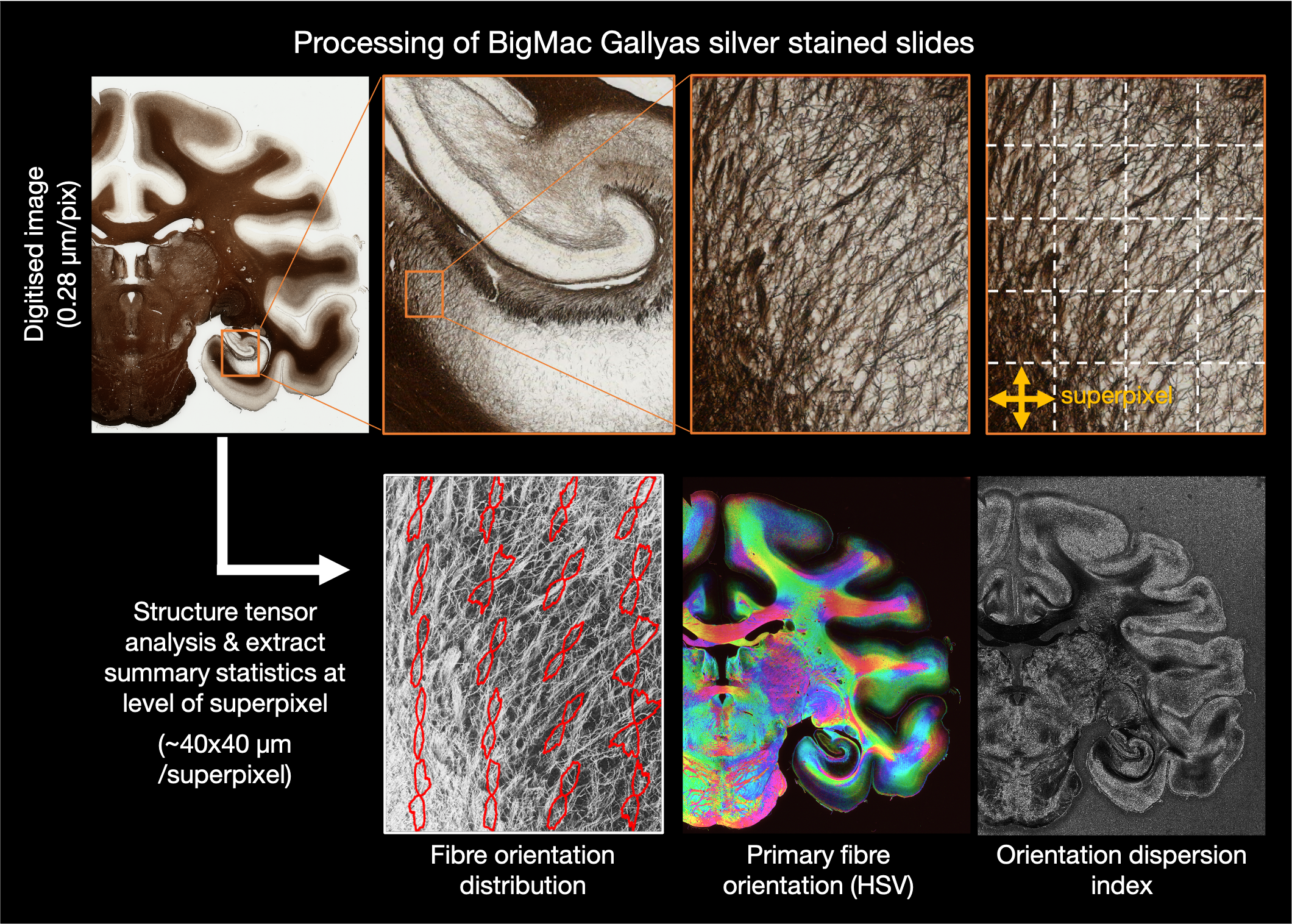 _images/GallyasSilverSlideProcessing.png